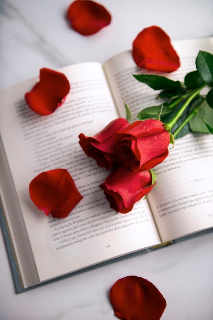 Stille natuur van prachtige rode rozen voor de Sant Jordi viering