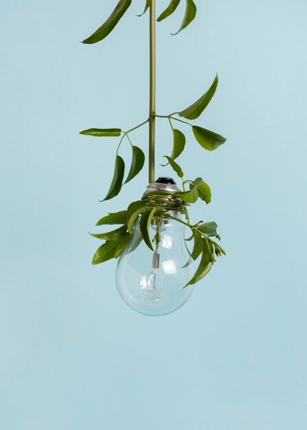 Stilleven duurzaamheid concept regeling