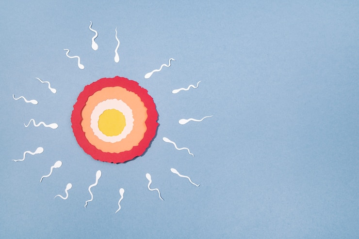Gratis Foto stilleven eierstok omgeven door spermatozoïde