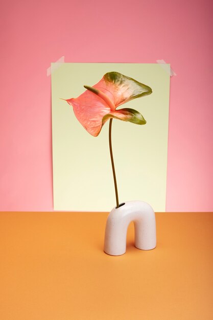 Stilleven met kleurrijke bladeren en bloemen