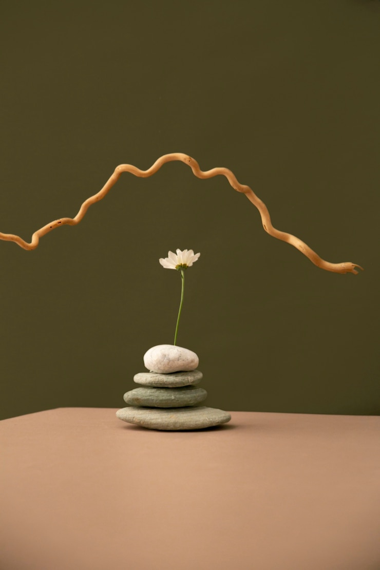Gratis Foto stilleven met planten deco
