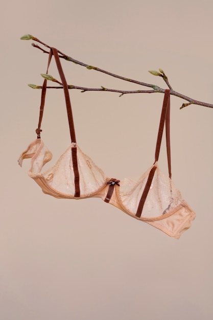 Gratis foto stilleven van bh-lingerie