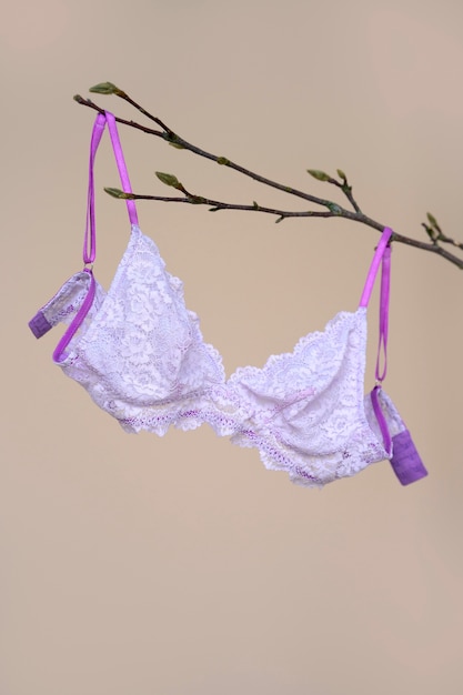 Stilleven van bh-lingerie