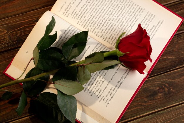 Stilleven van Sant Jordi voor de dag van boeken en rozen