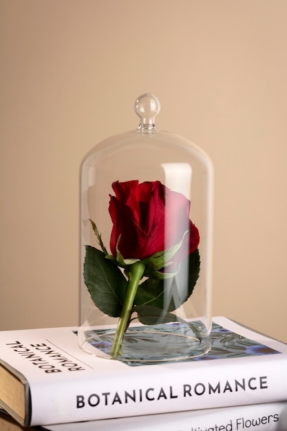 Stilleven van Sant Jordi voor de dag van boeken en rozen