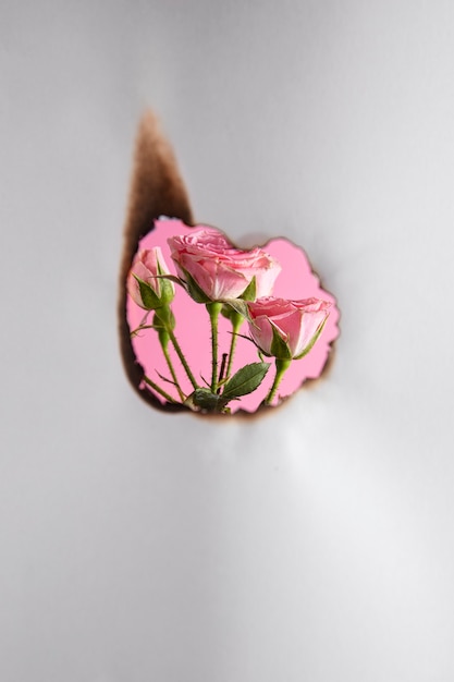 Stilleven van verbrand papier met roze bloem