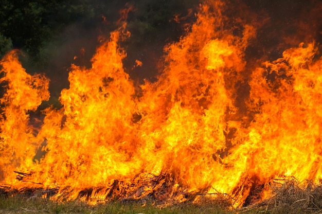 Gratis foto stoppels verbranden