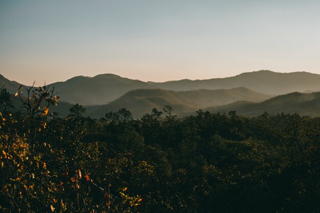 Straat Thailand, de natuur