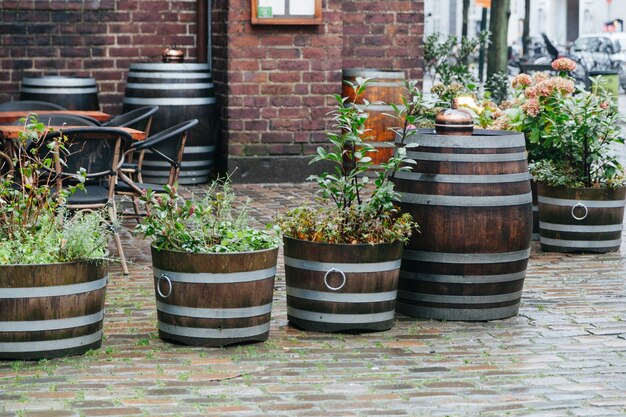 Straatplanten in houten manden en vaten