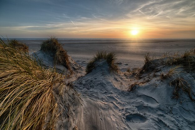 Strand bedekt met gras, omringd door de zee tijdens de zonsondergang - perfect voor wallpapers