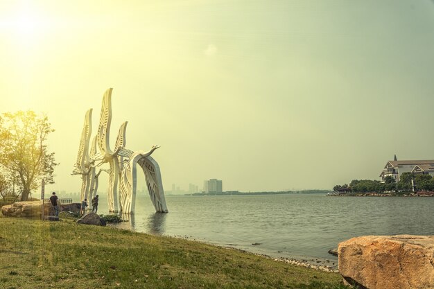 Strand met gigantische sculpturen van duiven