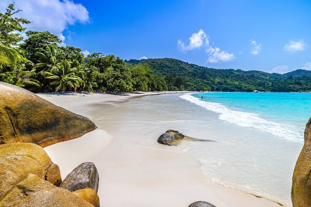 Strand omgeven door de zee rotsen en groen onder het zonlicht in Praslin op de Seychellen