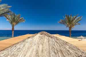 Gratis foto strand van het luxehotel, sharm el sheikh, egypte