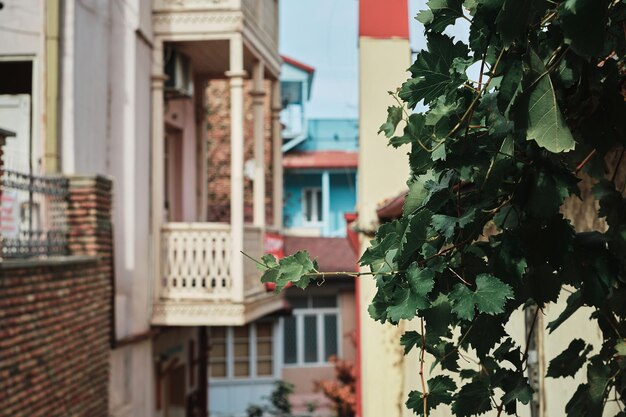 Straten van de oude stad selectieve achtergrond op klimop Oud Tbilisi idee voor een achtergrond of advertentie over de stad en reizen