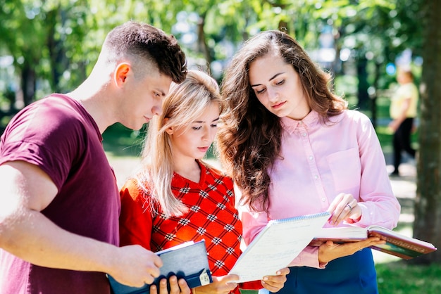 Studenten praten over taak in het park