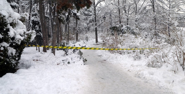 Stuk barrièretape in een besneeuwd bos dat de toegang blokkeert