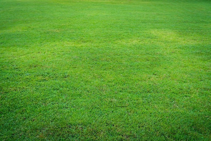 Gratis Foto stuk van turf