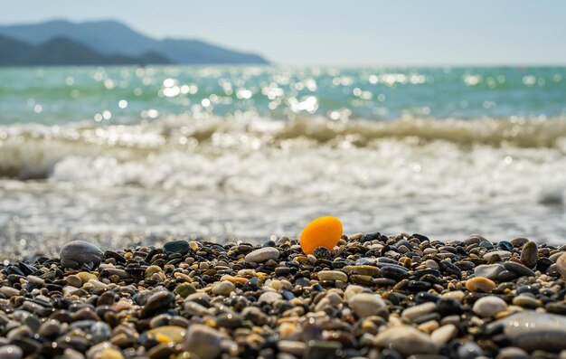 Surf op een kiezelstrand kumquat gedragen door een golf naar het strand selectieve focus op de zee op een zonnige dag vakantietijd of achtergrondidee