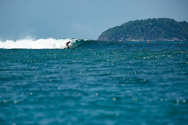 Gratis foto surfer op een blauwe golf.