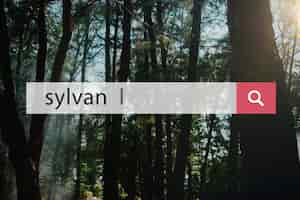 Gratis foto sylvan milieu bos eco word