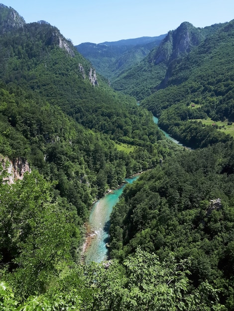 Gratis foto tara river canyon in montenegro