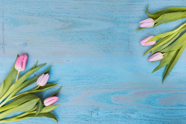 Tedere roze tulpen in samenstelling van hierboven