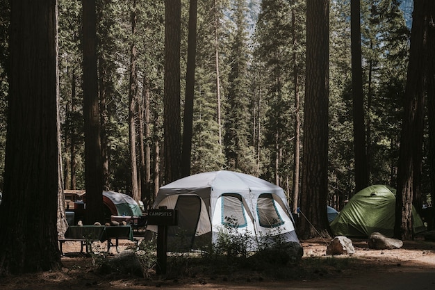 Tent op een camping in het bos