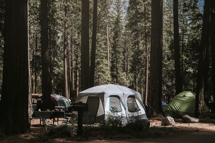 Gratis Foto tent op een kampeerplaats in het bos