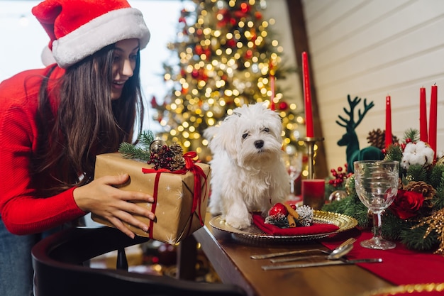 Terriër op een decoratieve kersttafel, een meisje staat naast en houdt een cadeautje vast