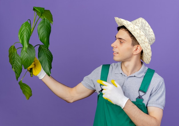 Tevreden jonge mannelijke tuinman tuinieren hoed en handschoenen dragen houdt en wijst op plant