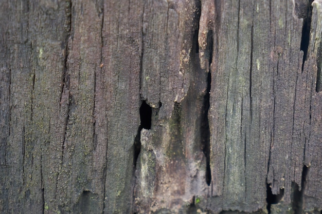 textuur close-up hout plank achtergrond