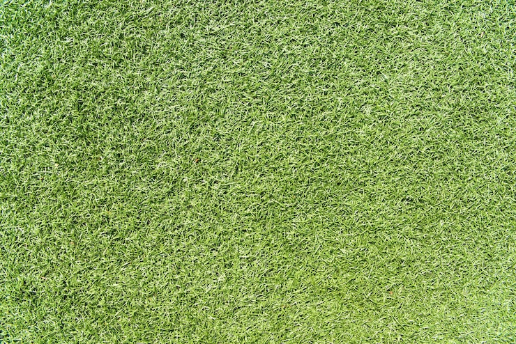 Gratis Foto textuur van gras. groene achtergrond.