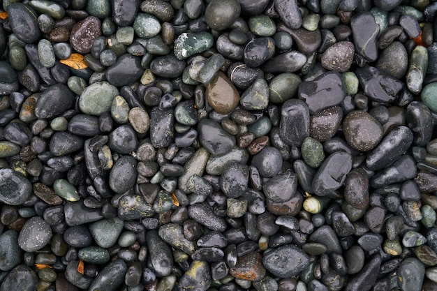 Gratis foto textuur van natte stenen