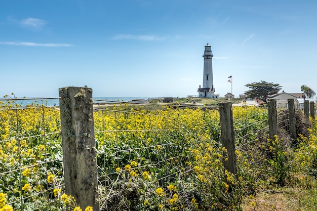 The Pigeon Point Lighthouse aan de kust van Californië