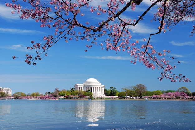 Gratis foto thomas jefferson nationaal gedenkteken washington dc