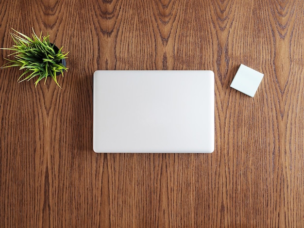 Tipmening van zakenmanbureau met laptop en een pot gras. Flatlay-afbeelding