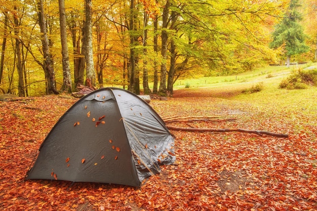 Toeristenkamp in het herfstbos met rood en geel gebladerte