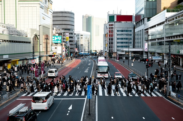 Tokyo mensen die op straat reizen