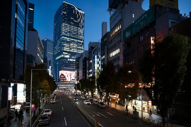 Tokyo stadsgezicht overdag