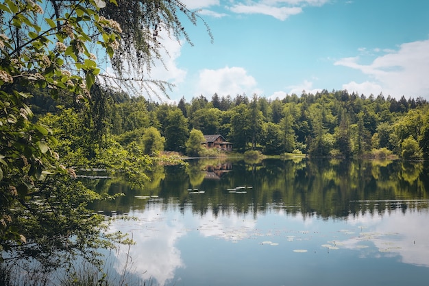 Toneel schot van een mooi meer dat door groene bomen en een geïsoleerd huis onder de bewolkte hemel wordt omringd