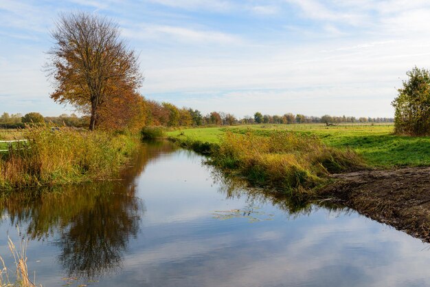 Toneelmening van bomen die op een rivier onder een bewolkte hemel worden weerspiegeld