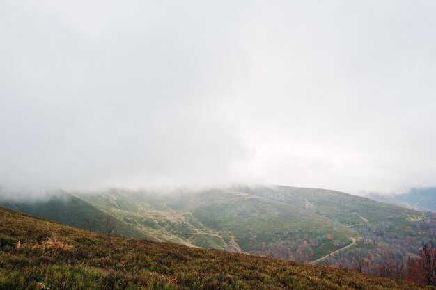 Toneelmening van de rode en oranje bossen van de bergherfst die door mist bij Karpatische bergen op de Oekraïne Europa bedekken