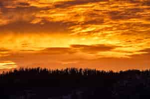 Gratis foto toneelschot van de oranje hemel boven het bos tijdens zonsondergang