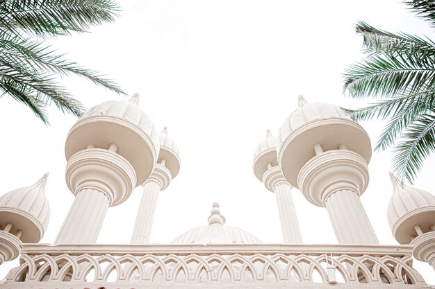 Traditionele islamitische moskee tussen de palmbomen bij zonnig weer.