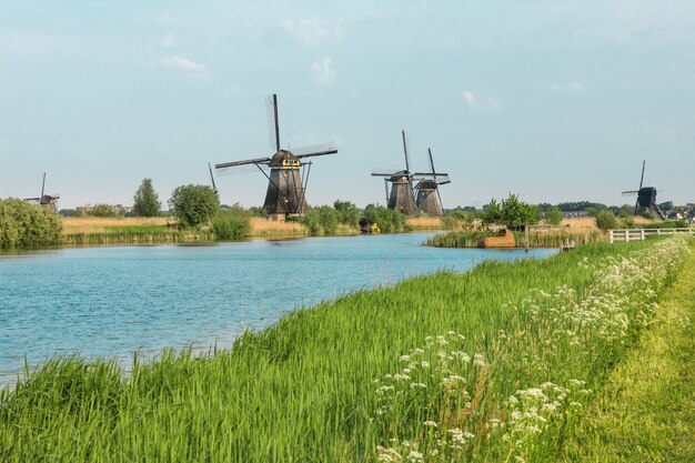 Traditionele Nederlandse windmolens met groen gras in de voorgrond, Nederland