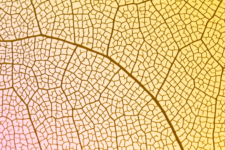 Gratis Foto transparant blad met gele achtergrondverlichting