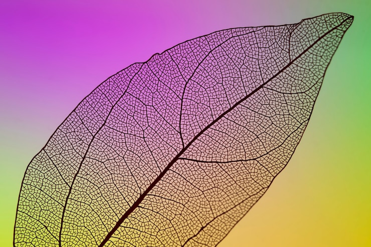 Gratis Foto transparant herfstblad met levendige achtergrond