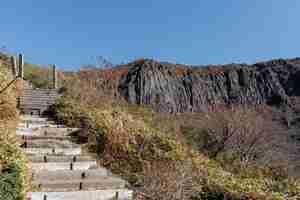 Gratis foto trappenpad op het yeongsil-pad van de berg hallasan op het eiland jeju