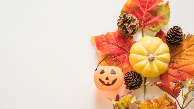 Gratis foto trick or treat-emmer dichtbij de herfstsymbolen