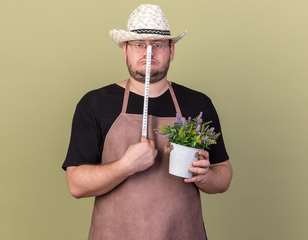 Trieste jonge mannelijke tuinman met een tuinhoed die de bloem meet in een bloempot met een meetlint dat op een olijfgroene muur is geïsoleerd